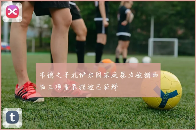 韦德之子扎伊尔因家庭暴力被捕面临三项重罪指控已获释